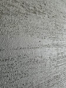 IMG_3849
